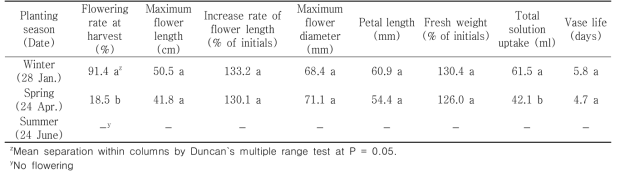 Quality of cut flowers in holding solution after harvest according to planting season in first experiment of tulip ‘Red Power’ under green LED light in the facility