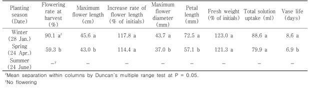 Quality of cut flowers in holding solution after harvest according to planting season in first experiment of tulip ‘Strong Gold’ under green LED light in the facility