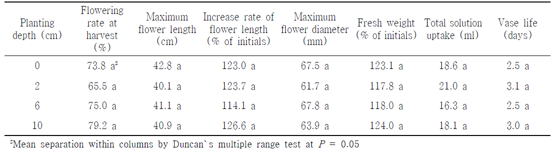 The quality of cut flowers in holding solution after harvest according to planting depth by light emitting diode in Tulipa gesneriana ‘Negrita’