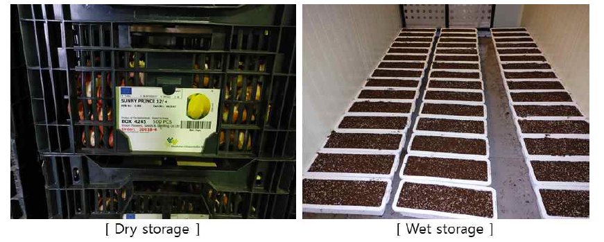 The storage method of tulip bulbs used in this experiment