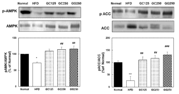 Effect of GCSW210 on AMPK and ACC expression in high fat diet-induced C57BL/6J mice