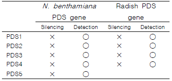 PDS gene에 따른 VIGS 표현형 확인 및 RT-PCR 진단 결과