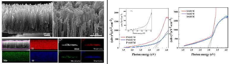 10 μm-thick MoO3-coated TiO2 nanotubes and Tauc plots of TiO2