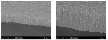 Cross-sectional view of TiO2 nanotubes
