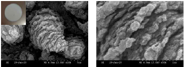 Pristine TiO2 microcones