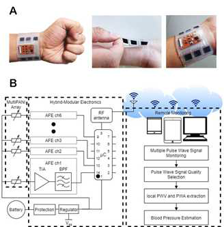 describes the overview and schematic concept of the proposed epidermal electronics device, named multiPANI, for the personalized and cuffless BP-monitoring system. As shown in Fig. 1(a), the multiPANI sensor array is thin, soft, and flexible, which is suitable for the unobtrusive monitoring of bio signal from the subject wrist. The six-channel flexible PANI sensor was proposed to measure multiple pulse wave signal from radial and ulnar arteries on the subject’s wrist. The proposed multiPANI was designed for the continuous wearable BP monitoring system. Fig 1(b) shows the schematic concept of the overall system workflow from the analog data acquisition to the mobile device monitoring e.g. smartphones, including multiple pulse wave signal monitoring, pulse wave signal quality selection, local PWV and PWA extraction, and a BP estimation model