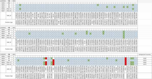 Fludigm SNP marker를 활용한 IR64 2,3-QTL 계통의 background genotyping. 1: IR64와 같은 allele; 0: IR64와 다른 allele; 2: 도입된 QTL allele. 던컨다중검정 (P≤0.05)