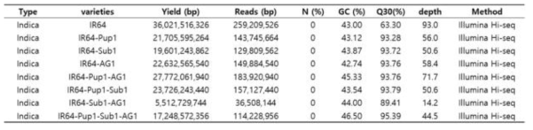 IR64 및 IR64 mono-, 2-, 3-QTL 계통의 sequencing statistics