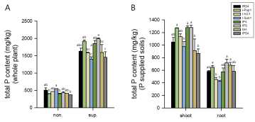 인산 시비량에 따른 IR64 QTL 도입계통 식물체 내의 총-인산함량 분석. A. P non-supplied 조건과 P-supplied 조건에서 계통별 전체식물체 내의 총 인산 함량. B. P-supplied 조건에서 계통별 지상부 및 지하부의 총 인산 함량. non.: P non-supplied conditions; sup.: P-supplied conditions; 던컨다중검정 (P≤0.05)