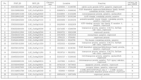 I-PA 계통에 존재하는 SNPs 중, IRGSP v1.0에 annotation 되는 유전자 목록 (일부)