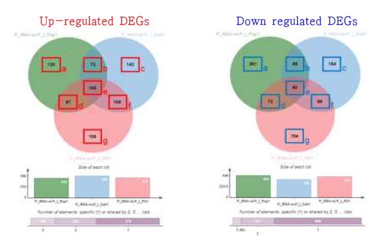 P-sup. condition에서 IR64대비 I-Pup1, I-Sub1, I-PS에서의 DEGs. up-regulated: IR64 대비 각 계통에서 발현량이 증가한 유전자 그룹; down-regulated: IR64 대비 각 계통에서 발현량이 감소한 유전자 그룹