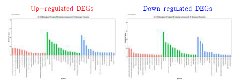 P-sup. 내 IR64 대비 I-Pup1의 DEGs GO (gene ontology)