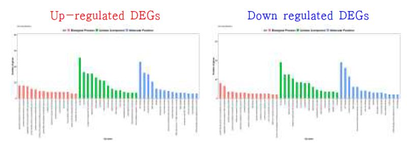 P-sup. 내 IR64 대비 I-Sub1의 DEGs GO (gene ontology) classification