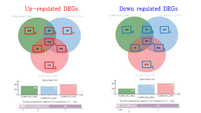 P-non. condition에서 IR64대비 I-Pup1, I-Sub1, I-PS에서의 DEGs. up-regulated: IR64 대비 각 계통에서 발현량이 증가한 유전자 그룹; down-regulated: IR64 대비 각 계통에서 발현량이 감소한 유전자 그룹