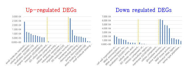 P-sup. 내 IR64 대비 I-PS의 DEGs GO (gene ontology) classification