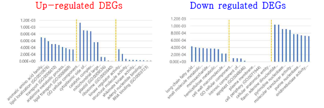 P-non. 내 IR64 대비 I-Pup1의 DEGs GO (gene ontology) classification