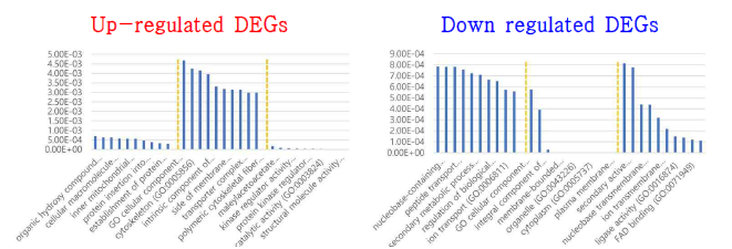 P-non. 내 IR64 대비 I-Sub1의 DEGs GO (gene ontology) classification