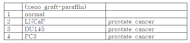 전립선 암세포주의 xeno-graft에 적용
