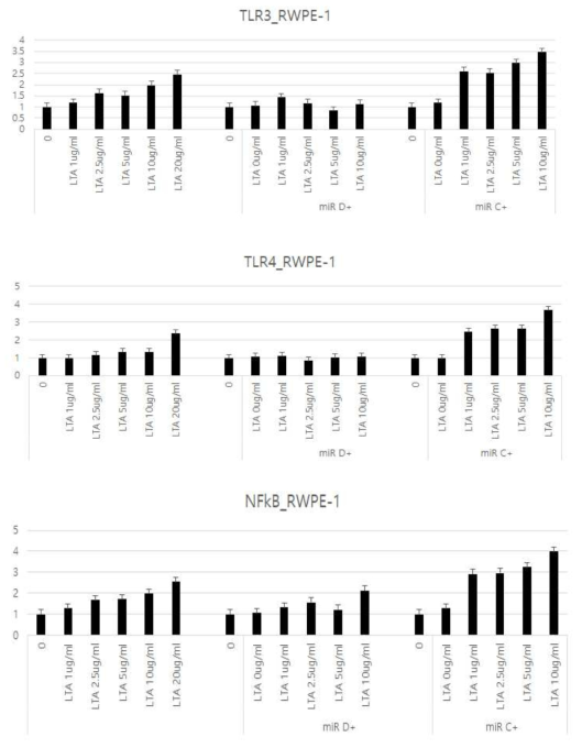 RWPE-1 세포에서의 LTA와 miRNA C, D 처리에 의한 TLR3, TLR4, NFkB mRNA 발현양상