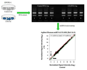 RWPE-1세포에 LTA를 6시간 처리한후, total RNA를 추출하여서 agilent human miRNA microarray 분석