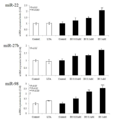 Vitamin D3의 처리에 의한 miR-22, -27b, -98의 발현양상