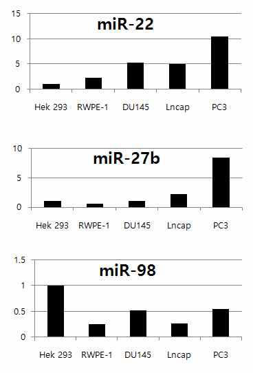 hsa-miR-22, -27b, -98의 다양한 세포 (HEK293, RWPE-1, DU145, LNCap, PC3) 에서의 내재적인 발현양