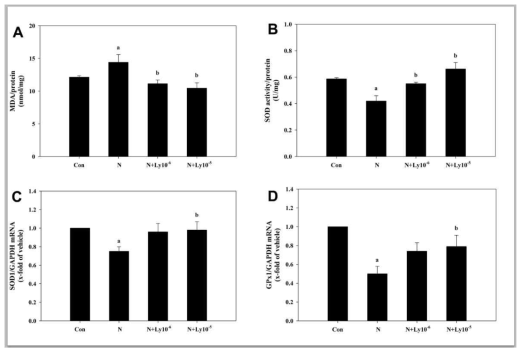 Lycopene (Ly) decreases oxidative stress and improves antioxidant enzyme status in mouse embryos exposed to nicotine. A: Lipid peroxidation was evaluated by malondialdehyde (MDA) concentration. B: SOD activity levels. C: SOD1 mRNA expression levels. D: GPx1 mRNA expression levels. Results are means ± SEM. a; vs. control (P < 0.05). b; vs. nicotine (P < 0.05). GAPDH was used as an internal standard to normalize target transcript expression