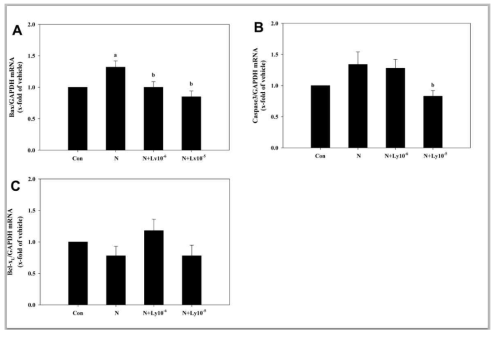 Quantitative real-time PCR analysis of apoptosis-related genes (Bax, caspase3 and Bcl-xL) levels in mouse embryos exposed to nicotine (N;1mM) in the presence or absence of lycopene (Ly;1×10-6 and 1 × 10-5 μM) at E8.5 for two days in vitro. Results are means ± SEM. a; vs. control (Con; P < 0.05). b; vs. nicotine (P < 0.05). GAPDH was used as an internal standard to normalize target transcript expression