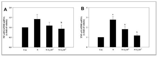 Quantitative real-time PCR analysis of NF-kB and TNF-α mRNA levels in the mouse embryos exposed to nicotine (N; 1 mM) and/or lycopene (Ly; 1 × 10-6 and 1 × 10-5 μM) at E8.5 for two days in vitro. Results are means ± SEM. a; vs. control (Con; P < 0.05). b; vs. nicotine (P < 0.05). GAPDH was used as an internal standard to normalize target transcript expression