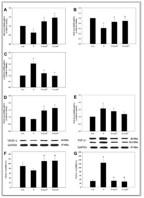 Lycopene regulates expressions of growth factors in yolk sac placentas exposed to nicotine. A: Hif-1α mRNA expression levels. B: IGF-1 mRNA expression levels. C: α-SMA mRNA expression levels. D: VEGF-α mRNA expression levels. E: TGF-β1 mRNA expression levels. F and G: Western blot analyses of VEGF-α and TGF-β1, respectively. Results are means ± SEM. a; vs. control group (P < 0.05). b; vs. nicotine group (P < 0.05). GAPDH was used as an internal standard to normalize target gene or protein expression