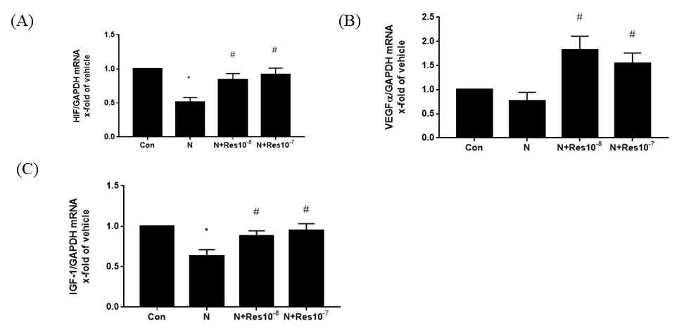 Resveratrol (1×10−8 and 1×10−7μM) attenuates nicotine-induced vascular defects in placentas via improvement of related gene expressions. (A) HIF-1α mRNA levels. (B) VEGF-α mRNA levels. (C) IGF-1 mRNA levels