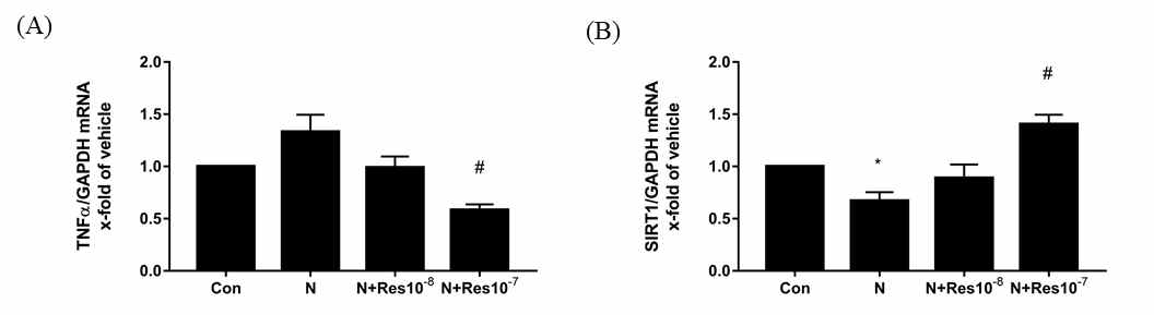 Expression levels of TNFα (A) and SIRT 1 (B) mRNAs in placentas exposed to nicotine (1 mM) and/or resveratrol (1×10−8 and 1×10−7μM). Resveratrol enhances SIRT1-dependent cellular processes