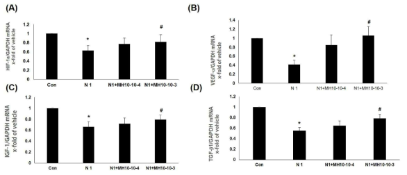 4-o-methylhonokiol attenuates nicotine-induced vascular defects in placentas via improvement of related gene expressions. (A) HIF-1α mRNA expression levels in the placenta. (B) VEGF-α mRNA expression levels in the placenta.(C) IGF-1 mRNA expression levels in the placenta. . (D) TGF-β1 mRNA expression levels in the placenta.The results are the means ± SEM. Significant differences between MH-treated groups (1 mM N + MH 1×10−4 μM) and (1 mM N + MH 1×10−3 μM ) and normal control (Con; *) or nicotine alone (N; #) group were examined at p < 0.05. GAPDH was used as an internal standard to normalize the target transcript expression