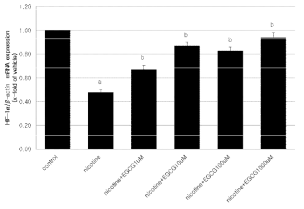 Relative mRNA expressions of HIF-1α in E8.5 mouse embryos exposed to nicotine and EGCG for 2 days in vitro . The results are presented the mean ± SEM (n=8). β-actin was used as an internal standard to normalize target transcript expression. Statistically significant differences from control group (a) and nicotine group (b) at P value ＜0.05