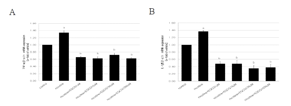 Relative mRNA expressions of TNF-1α (tumor necrosis factor-1α; A) and IL-1β (interleukin-1β; B) in E8.5 mouse embryos exposed to nicotine and EGCG for 2 days in vitro. The results are presented the mean ± SEM (n=8). β-actin was used as an internal standard to normalize target transcript expression. Statistically significant differences from control group (a) and nicotine group (b) at P value ＜0.05