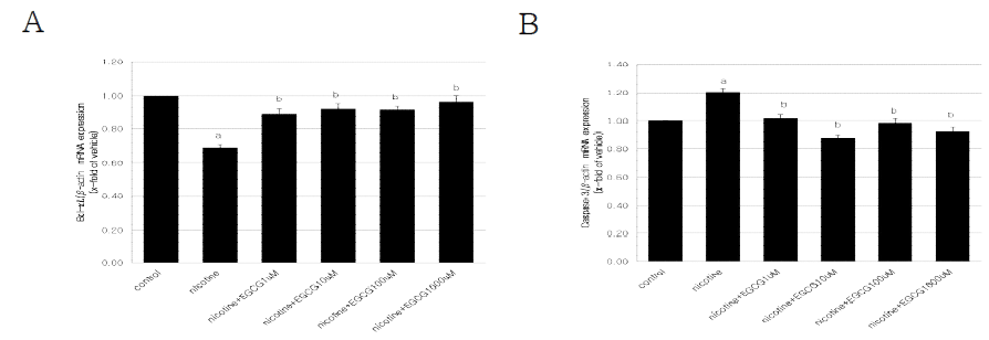 Relative mRNA expressions of Bcl-χL(B-cell lymphoma-extra large) (A) and caspase 3 (B) in E8.5 mouse embryos exposed to nicotine and EGCG for 2 days in vitro . The results are presented the mean ± SEM (n=8). β-actin was used as an internal standard to normalize target transcript expression. Statistically significant differences from control group (a) and nicotine group (b) at P value ＜0.05