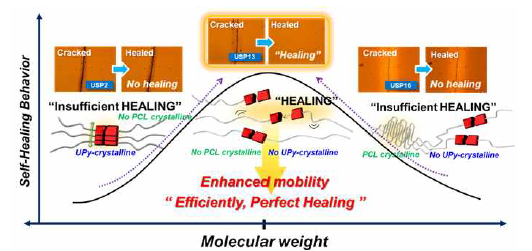 가지길이가 제어된 성형 자가치유 초분자의 결정 구조 변화에 따른 자가치유 거동 메커니즘의 모식도