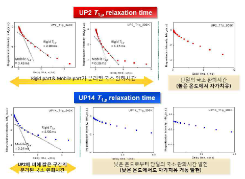 국소 스케일에서의 성형 자가치유 초분자(UP2, UP14)의 지연시간에 따른 자화감쇠 플롯