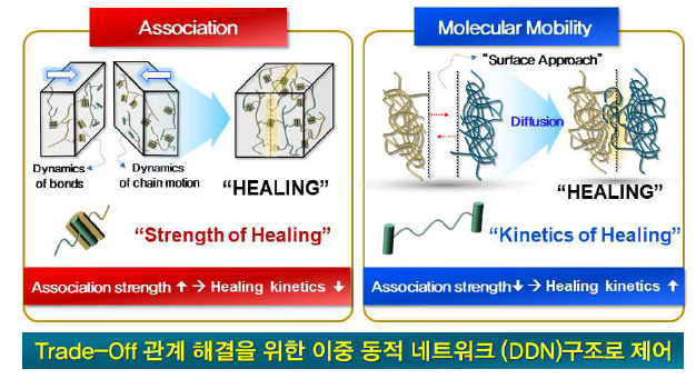 이중 동적 초분자화 네트워크(DDN) 구조제어를 통한 초분자 결합력 및 분자 운동성 최적화