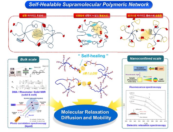 본 연구에서 목표로 하고 있는 자가치유 초분자형 고분자 네트워크의 구조-환경-분석 요소에 따른 자가치유거동 고찰