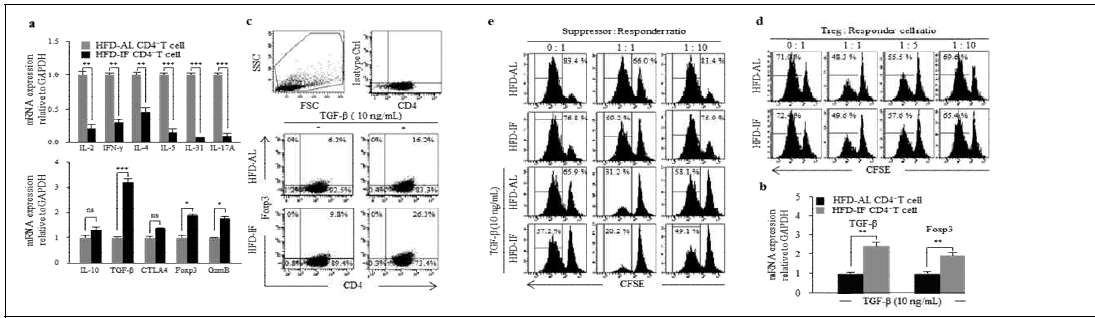 IF regimen facilitates the differentiation of CD4+Foxp3+T cells from CD4+T cells in a TGF- β-dependent manner