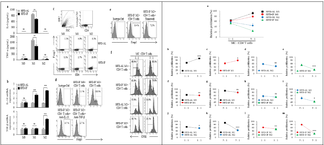 IF regimen strongly augments the ability of IL-10/TGF-β-modified M2 macrophages to induce the differentiation of CD4+Foxp3+Tregs