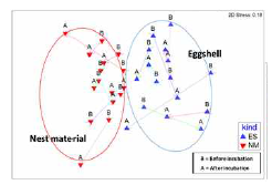 알껍질과 둥지재료에 존재하는 미생물 군집에 대한 NMDS 그래프. 파란색 기호가 알 표면, 빨간색 기호가 둥지재료의 미생물군집을 의미한다.