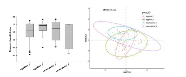 Analysis of microbiome alpha diversity (a) and beta diversity (b) at the genus level for P. minor from Hongneung.