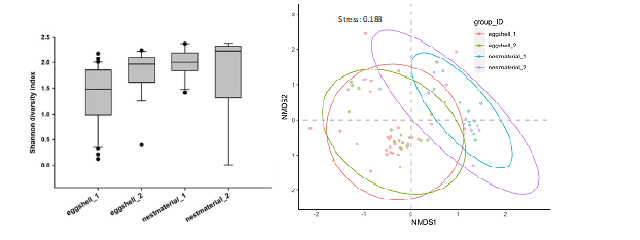 Analysis of microbiome alpha diversity (a) and beta diversity (b) at the species level for P. minor from Hongneung.