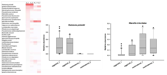 Comparison among the top 12 species (a), Ralstonia pickettii (b) and Massilia brevitalea (c), for P. minor from Hongneung. E_1, eggshell1; E_2, eggshell_2; N1, nestmaterial_1; N2, nestmaterial_2