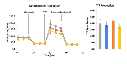 신경종양 세포주의 약물/항산화제 처리에 따른 실시간 대사 분석 Ascorbic acid/Temozolomide 처리(48 h)에 따른 실시간 대사 분석. 좌: Mito stress, 우: ATP Production. (Gray: control, Blue: Ascorbic acid, Orange: Ascorbic acid/Temozolomide, Yellow: Temozolomide).