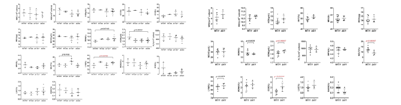 CXorf21 Knockout mice의 성별에 따른 혈액학적 분석