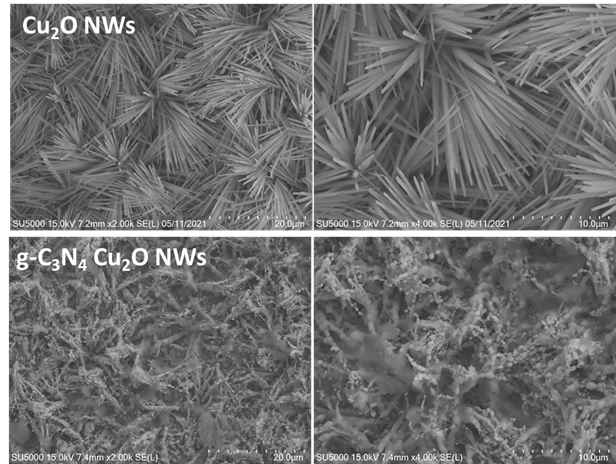 Cu2O nanowire, g-C3N4/Cu2O nanowire의 SEM 이 미지.