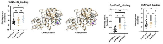 FeoB-ATPase inhibitor 결합력 예측 및 철수송 단백질 구조 분석